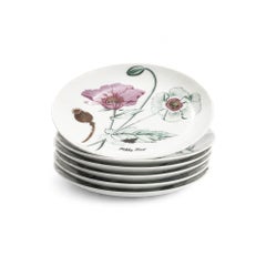 Horchow Collection Set of 12 Botanical Salad Plates, Porcelain, Japan