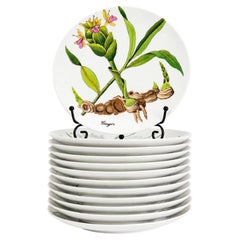 Horchow Collection Set of 12 Botanical Salad Plates, Porcelain, Japan