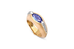 Horizon Tanzanite Ring by Capucine H