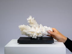 Horizontal fractal aragonite