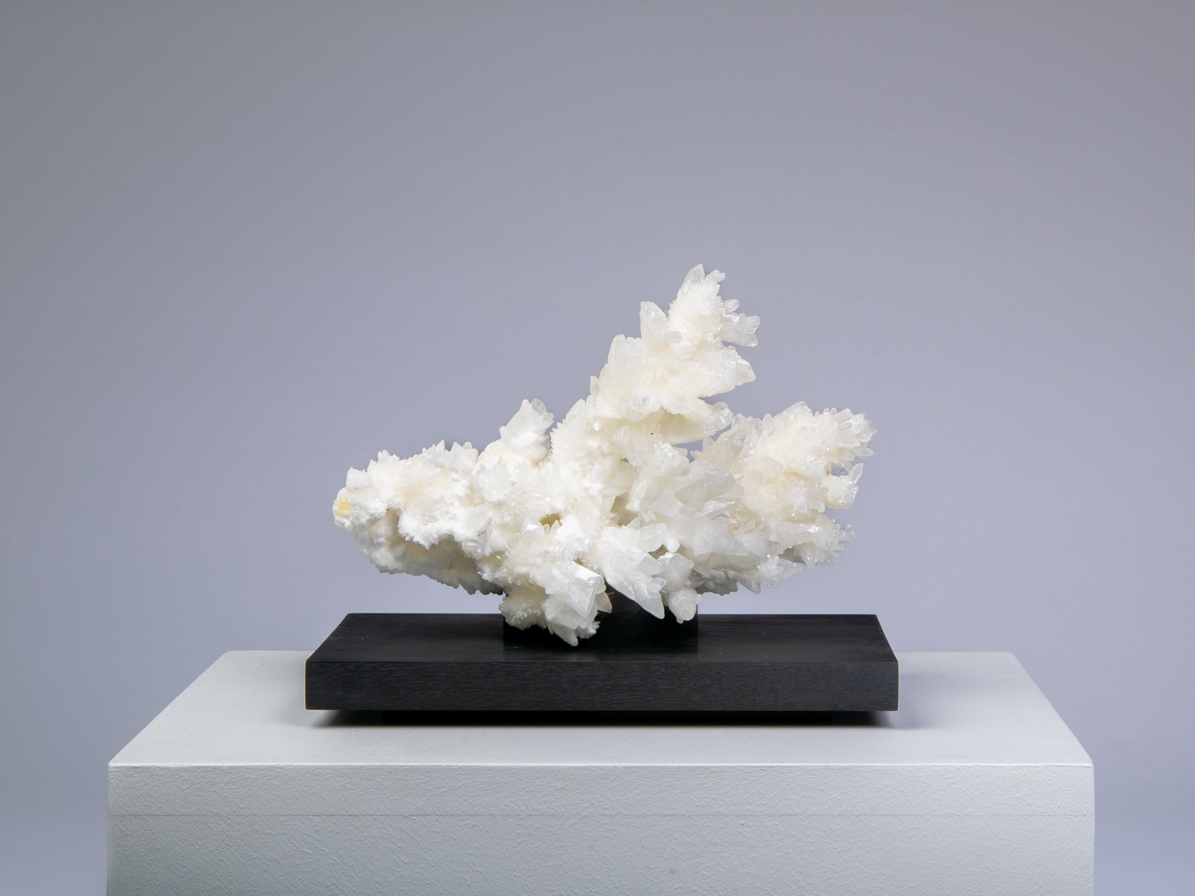 Horizontal fractal aragonite In Excellent Condition In London, GB