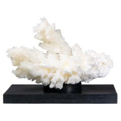 Horizontal fractal aragonite