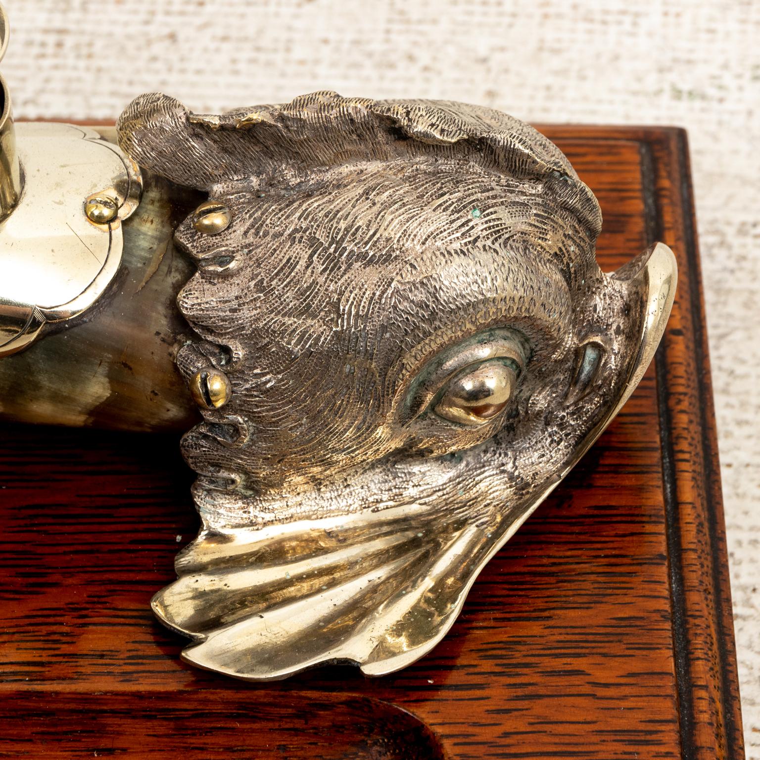 dolphin with horn