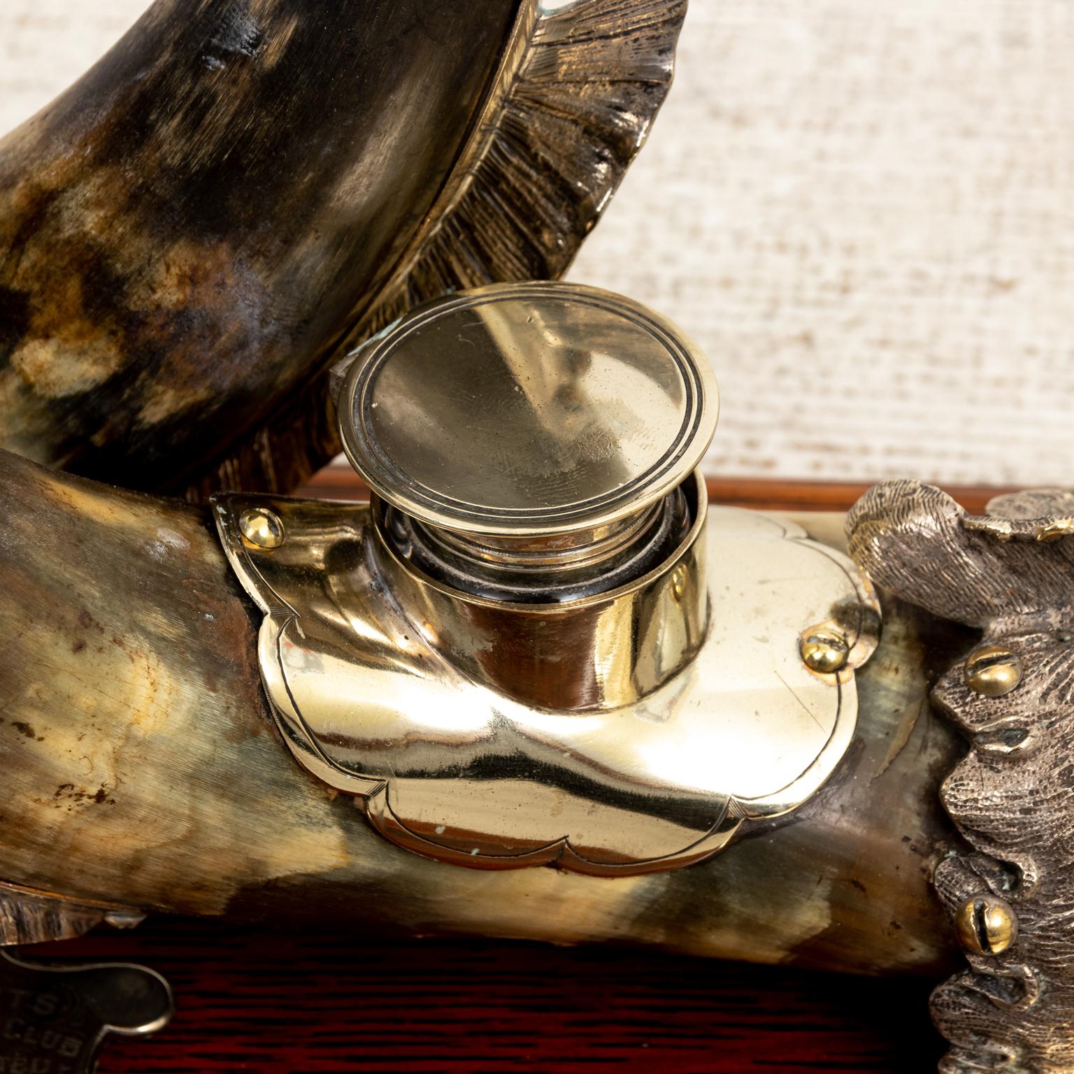 dolphin horn