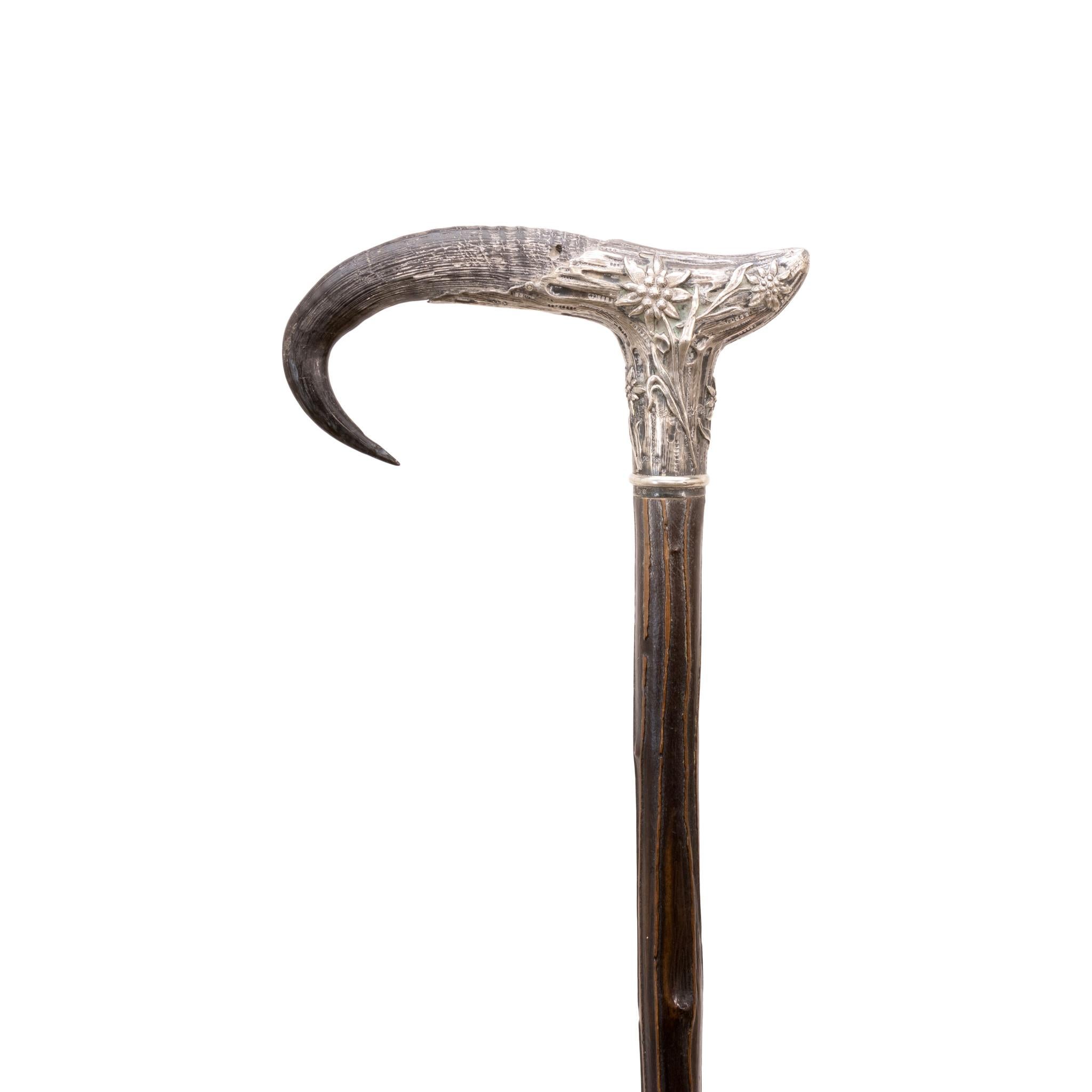 Bastone da abito in corno e argento del 1890 circa. Manico di Horn fuso in argento e firmato 
