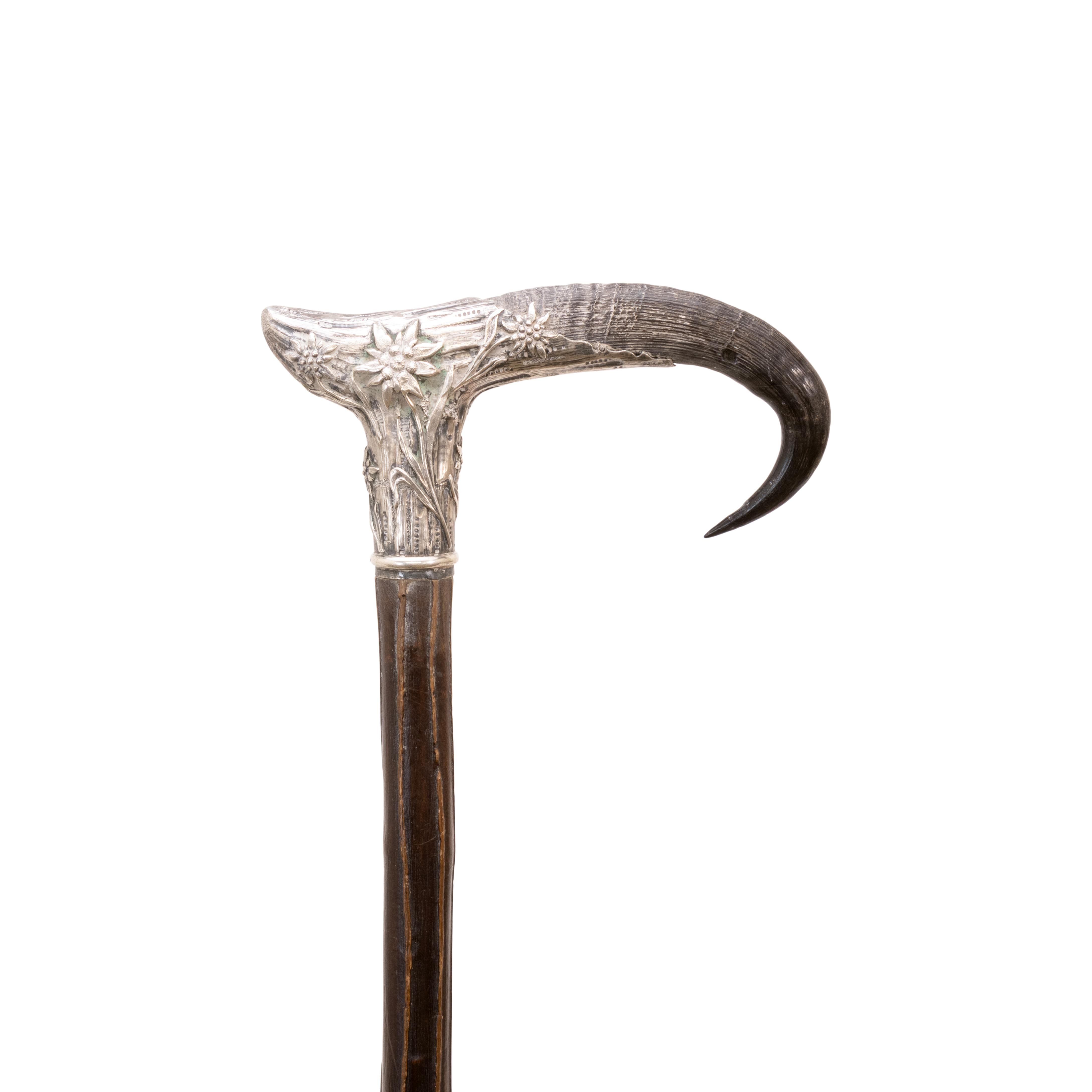 Bastone da abito in Horn e Silver in vendita 1