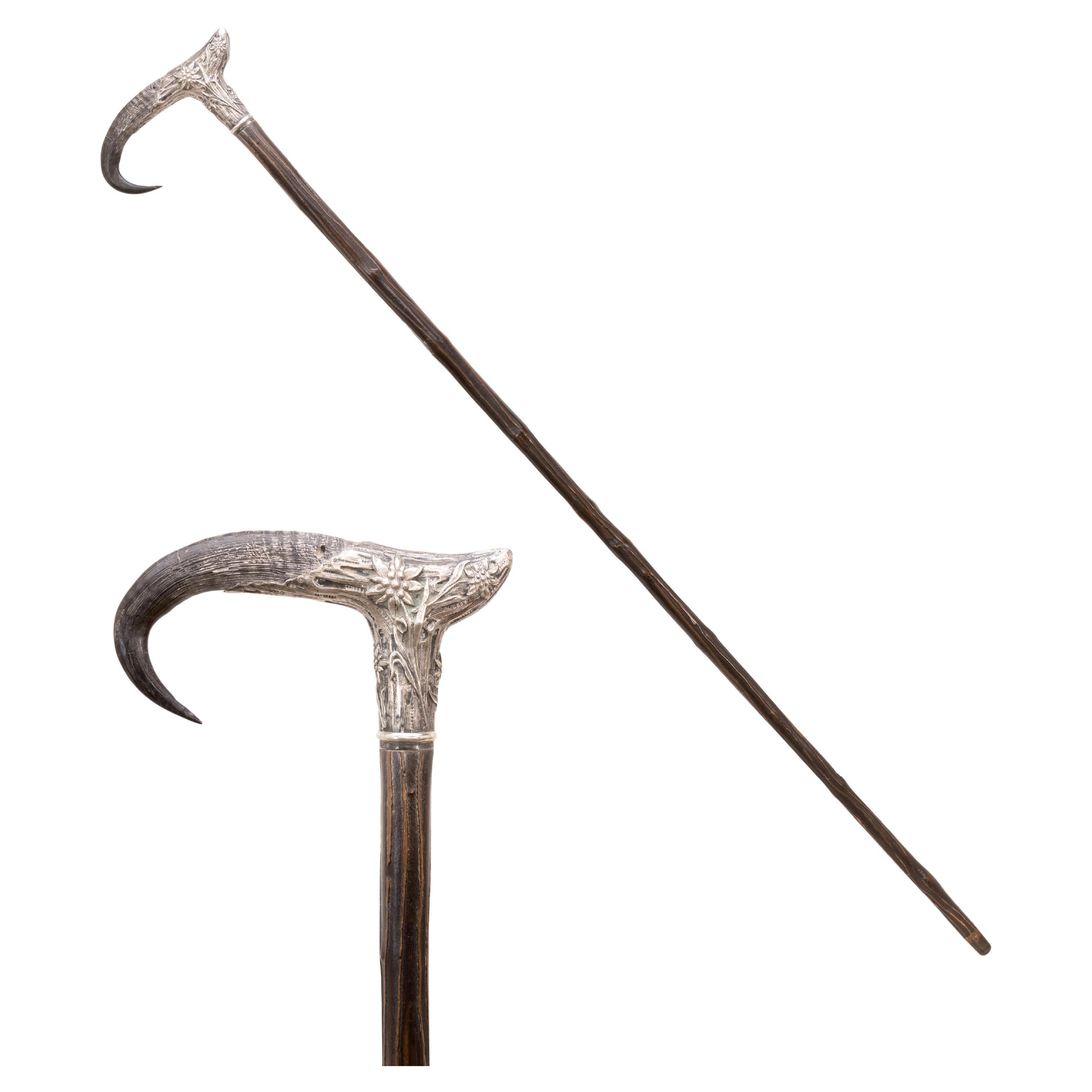 Horn and Silver Dress Cane