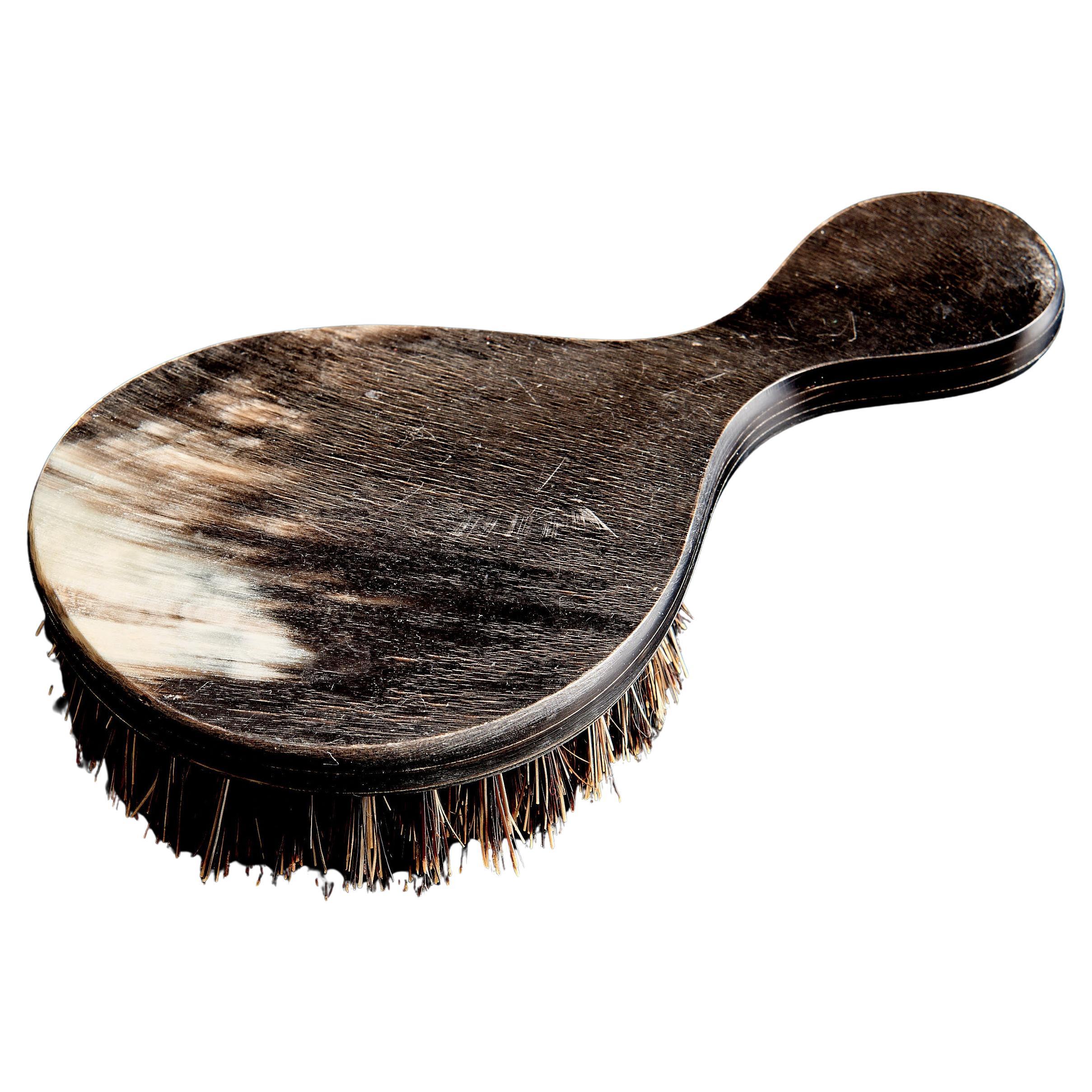 Horn Brush by Werkstätte Carl Auböck, Mid-Century Modern, 1960s