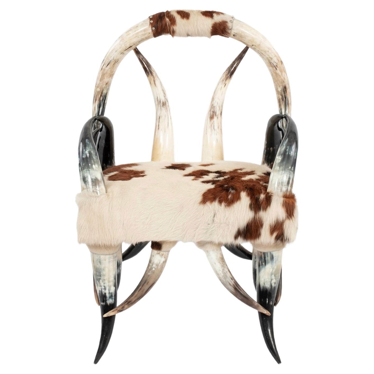 Horn Cowhide Stuhl im Angebot