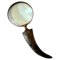 Vintage Horn Handle Magnifying Glass with Brass Frame
