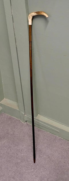 Horn Handled Bamboo Cane Sword Stick   A Nice piece