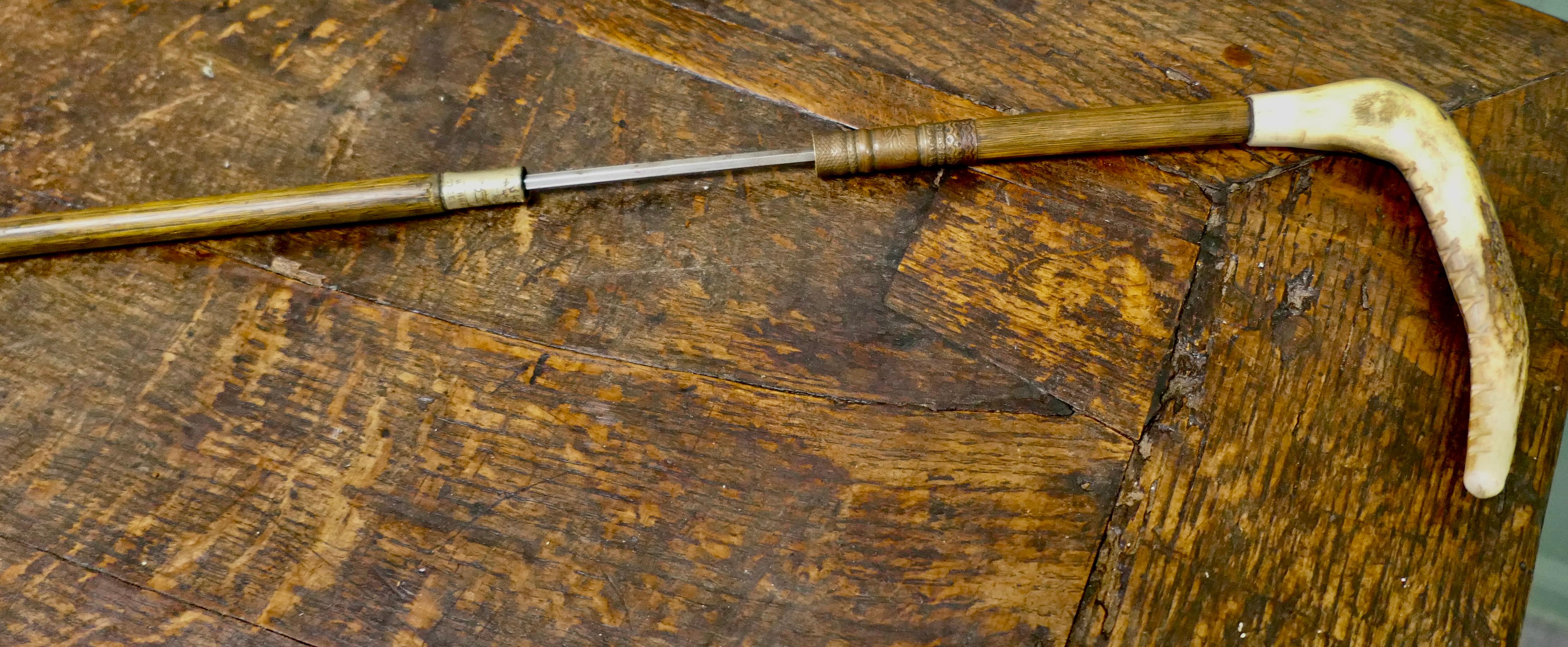 Bastón espada de caña de bambú con mango de cuerno   Una bonita pieza en Bueno estado para la venta en Godshill, Isle of Wight