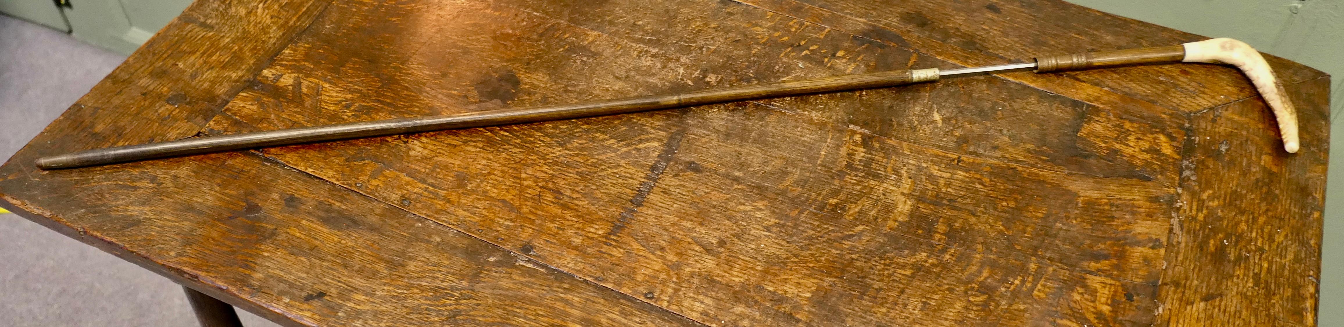 Bastón espada de caña de bambú con mango de cuerno   Una bonita pieza principios del siglo XX en venta