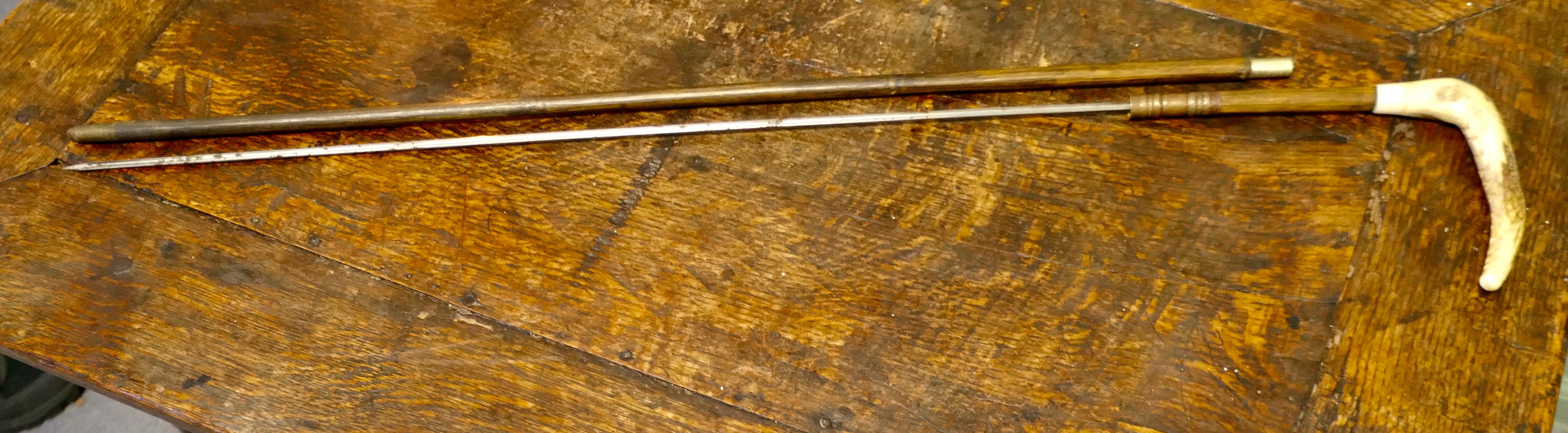 Bastón espada de caña de bambú con mango de cuerno   Una bonita pieza en venta 1