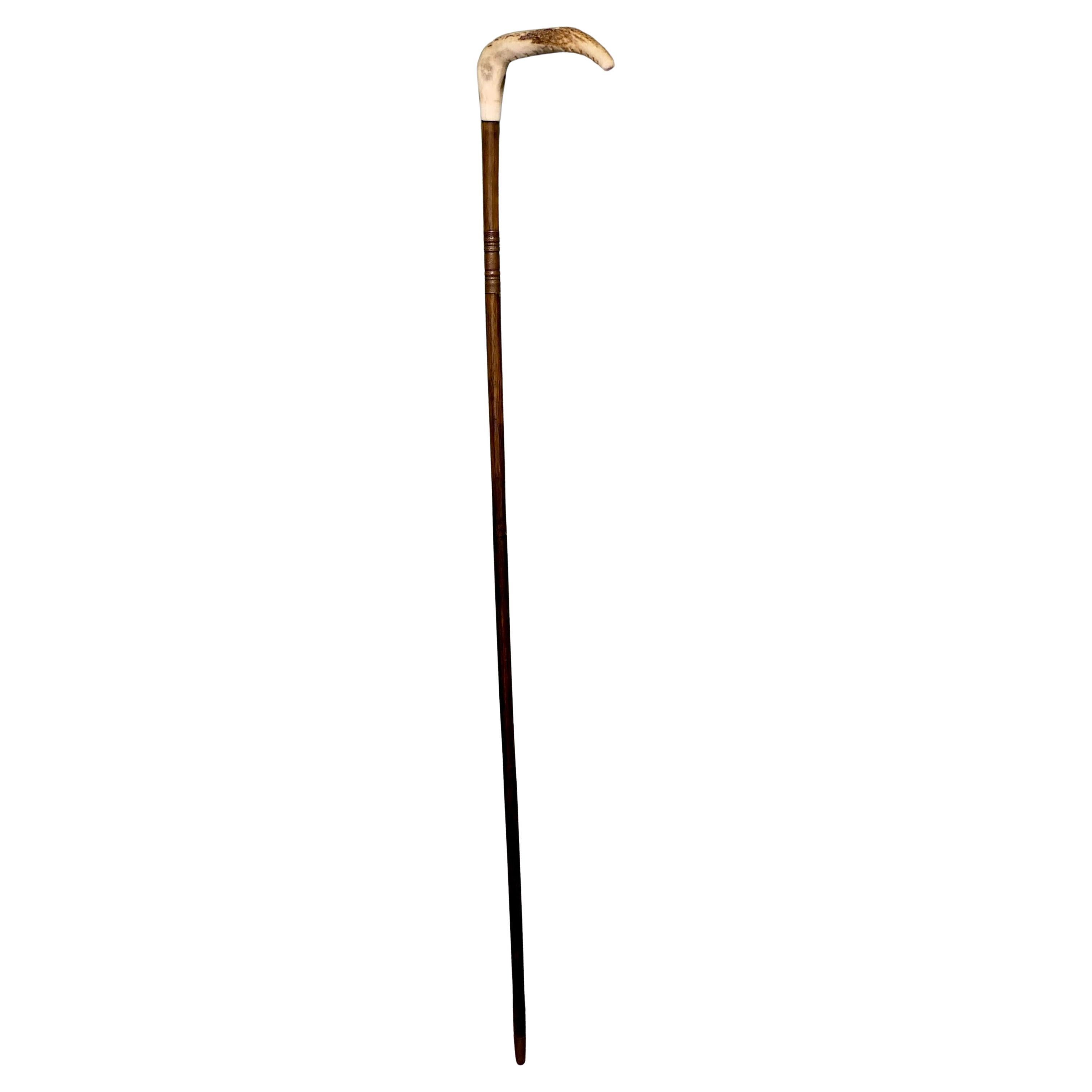 Bastón espada de caña de bambú con mango de cuerno   Una bonita pieza en venta