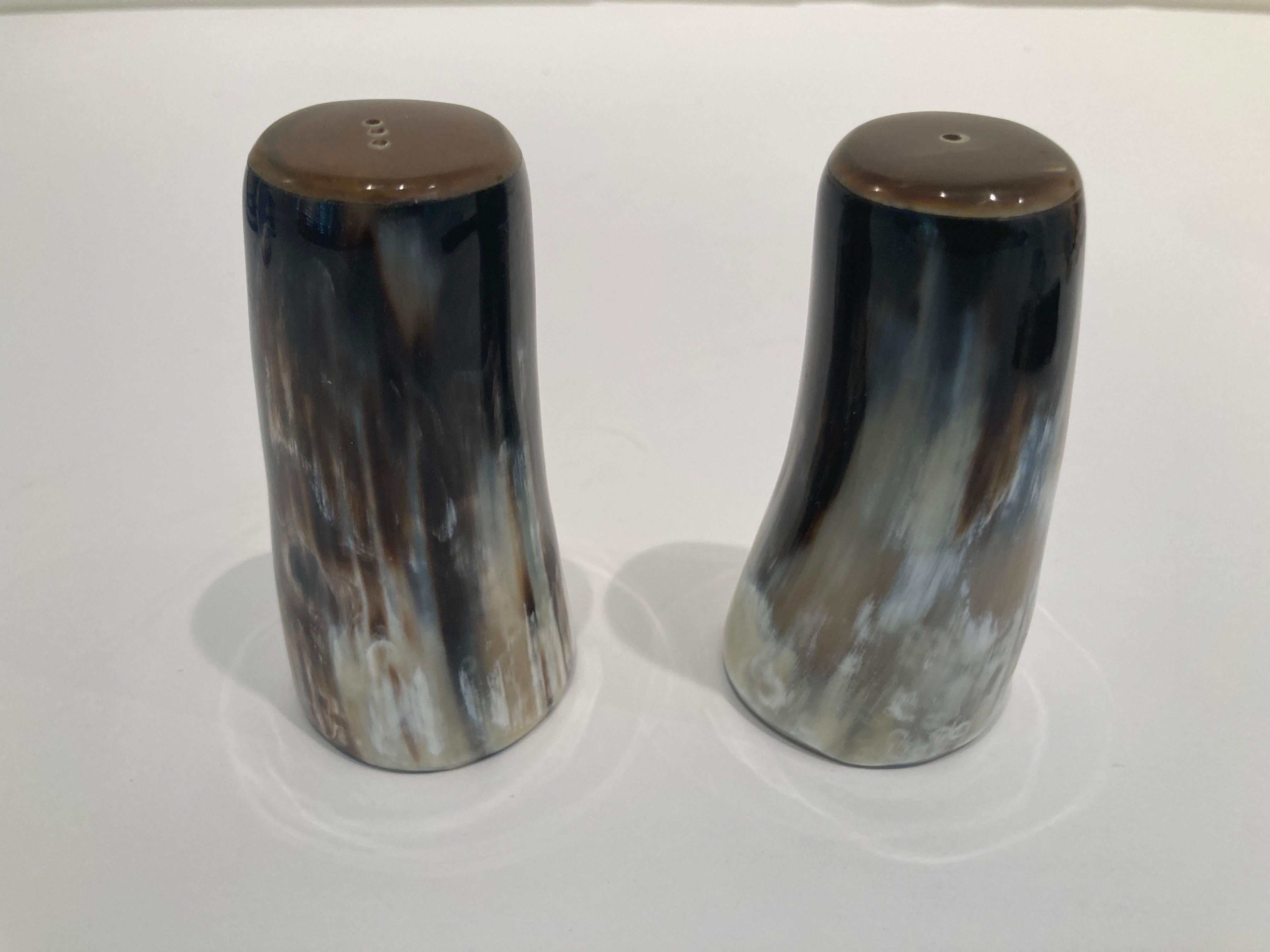 Horn Salt and Pepper Shakers For Sale 2