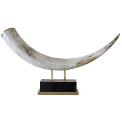 Horn Sculpture by Zanchi 1952