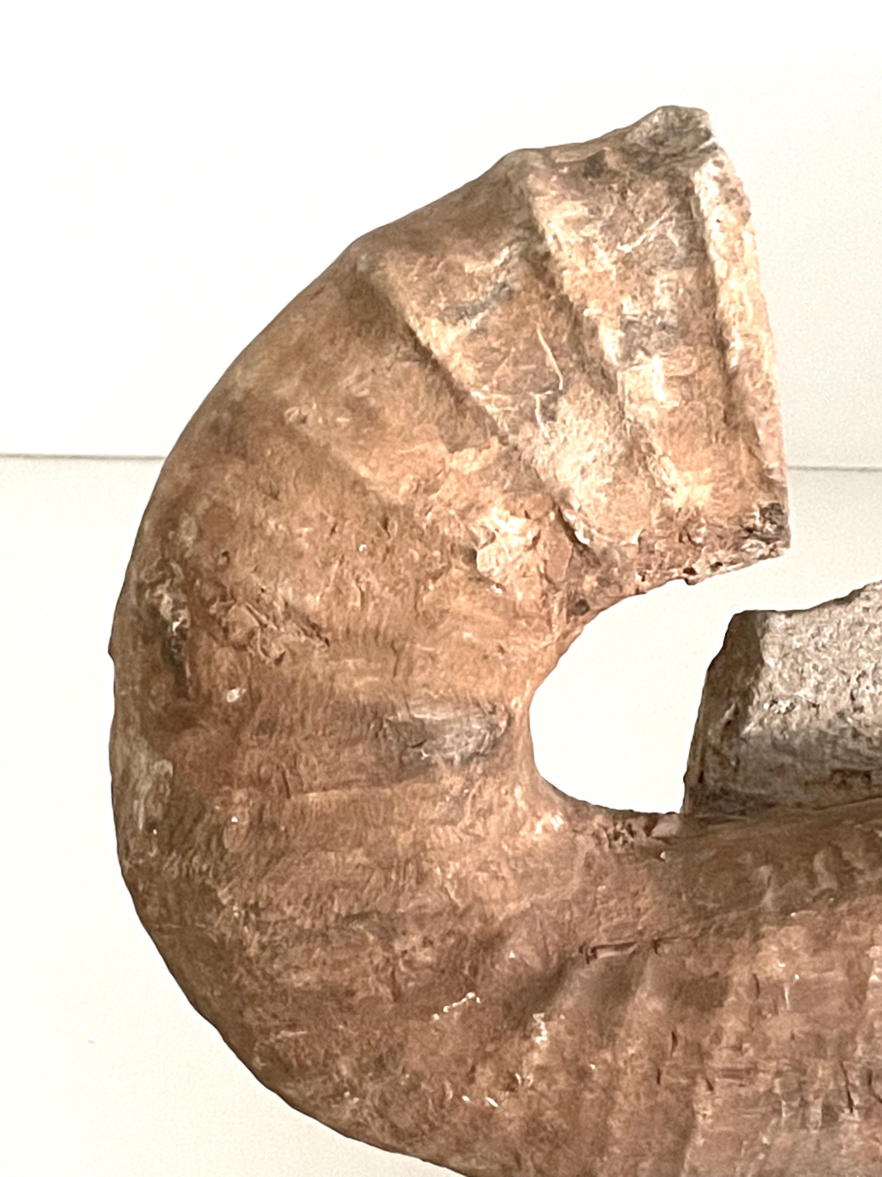 Prehistoric ammonite unusual horn shaped fossil from Madagascar.
Fossil is mounted on a stone stand.
Beautiful natural patina.
