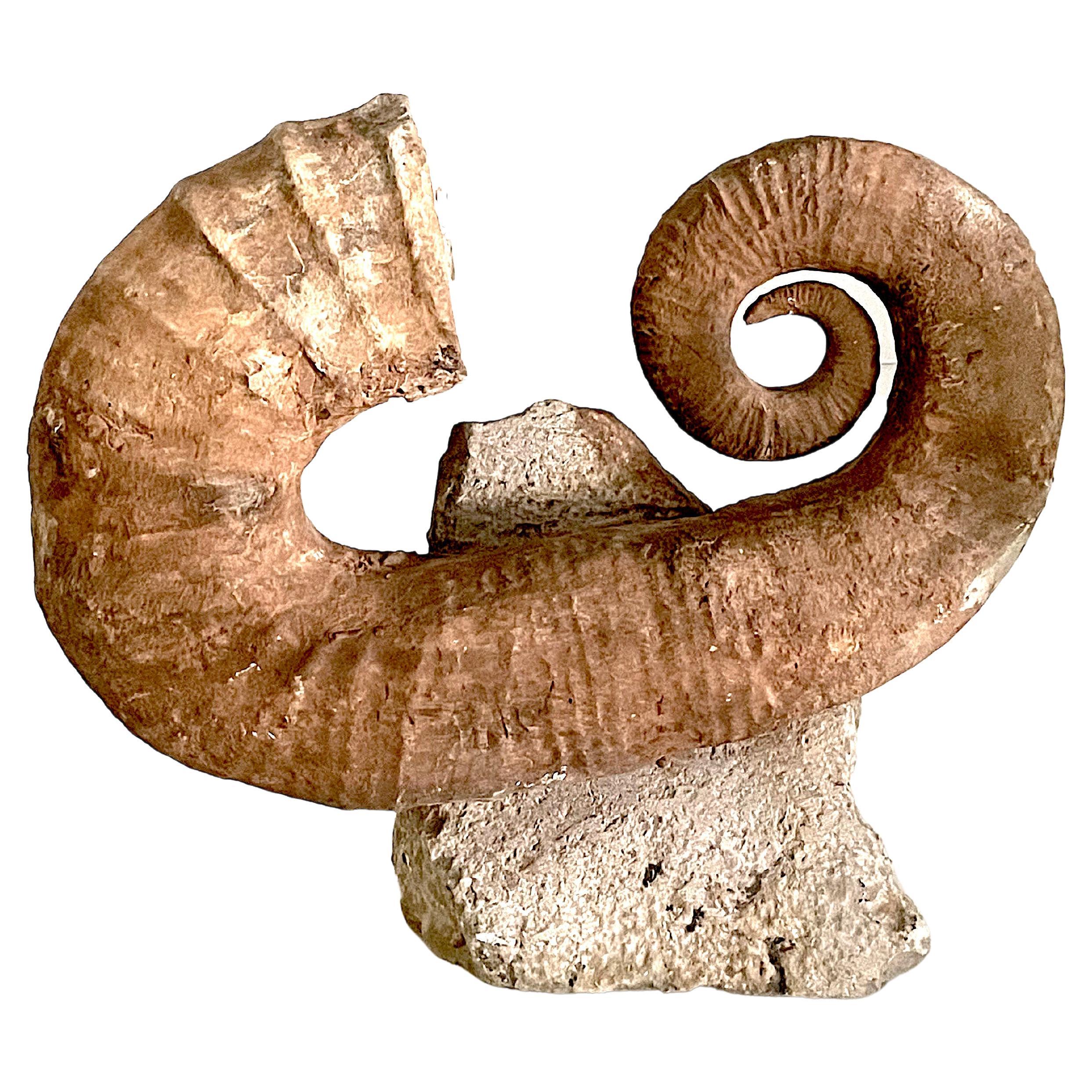 Horn Shaped Ammonite Fossil Sculpture on Stone Stand, Madagascar, Prehistoric