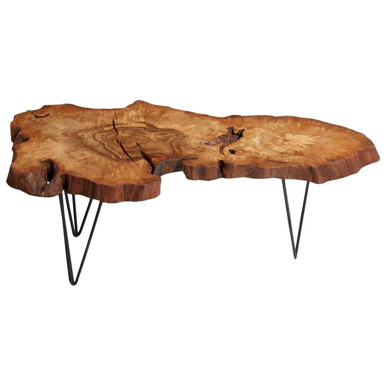 Hornbeam Tree Live Edge Coffee Table, Live Edge Table, Rustic Edge End
