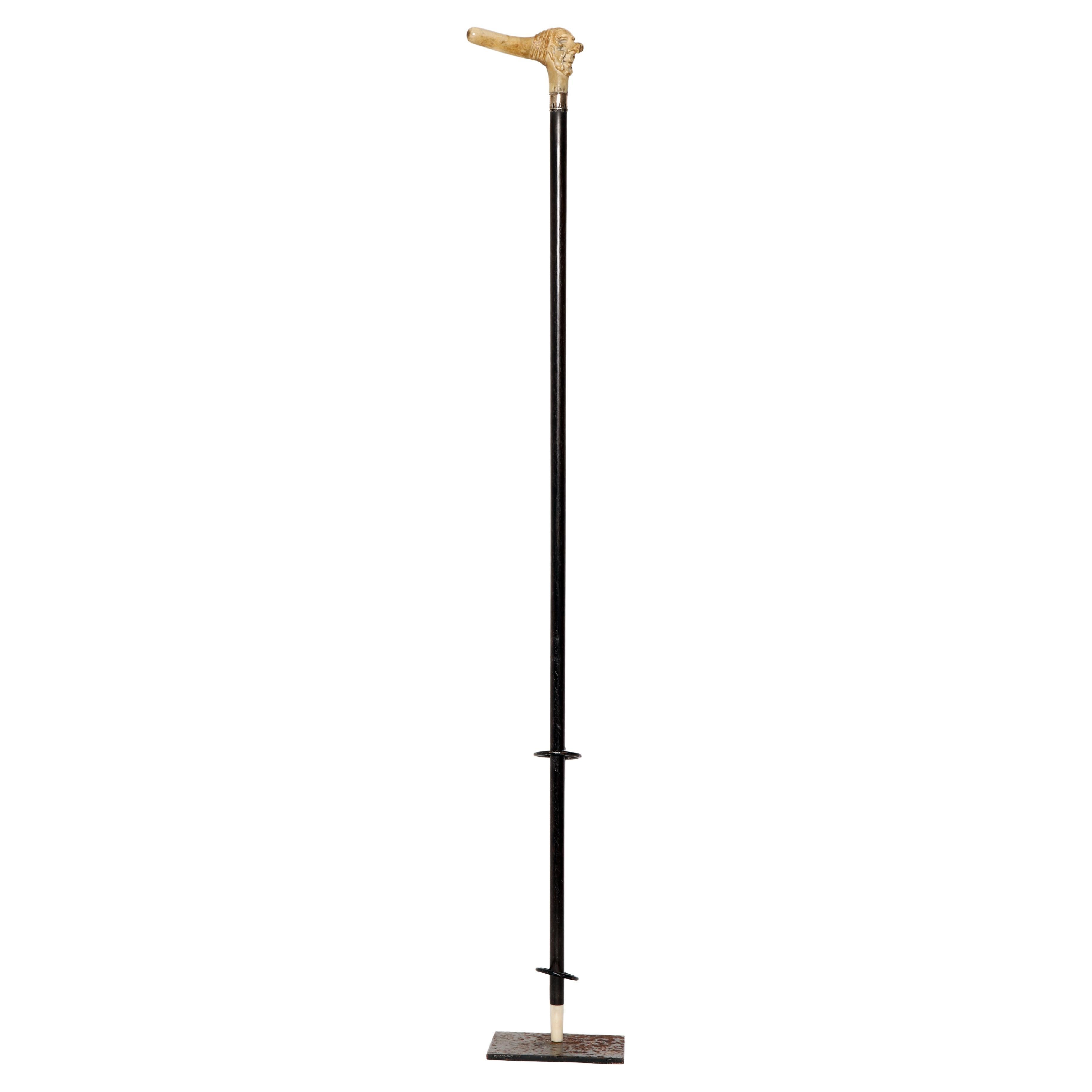 Bastone da passeggio: manico in corno di cervo intagliato che raffigura la caricatura di un vecchio con il naso grosso. Anello in argento liscio. Albero in palissandro. Francia 1880 ca.