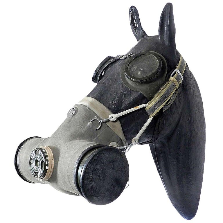 Horse Gas Mask, 1950s-1960s at 1stDibs | horse gas masks ww1, gas masks for  horses, horses with gas masks