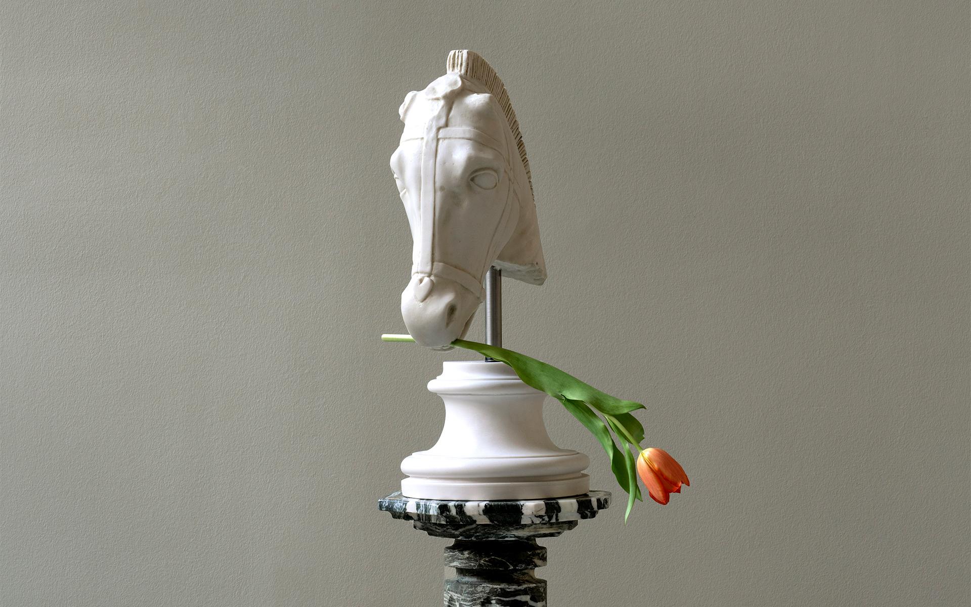 Statue de buste de cheval en poudre de marbre comprimée / Musée d'Istanbul en vente 2