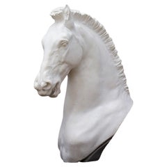 Horse Head Sculpture by Galleria Romanelli