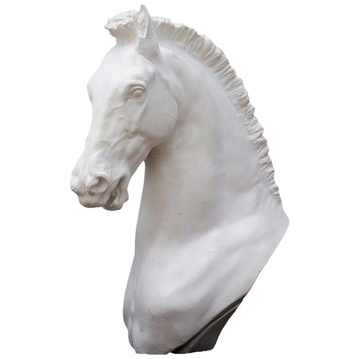 Lifesize Fiberglass Horse Head Mold For Sale at 1stDibs
