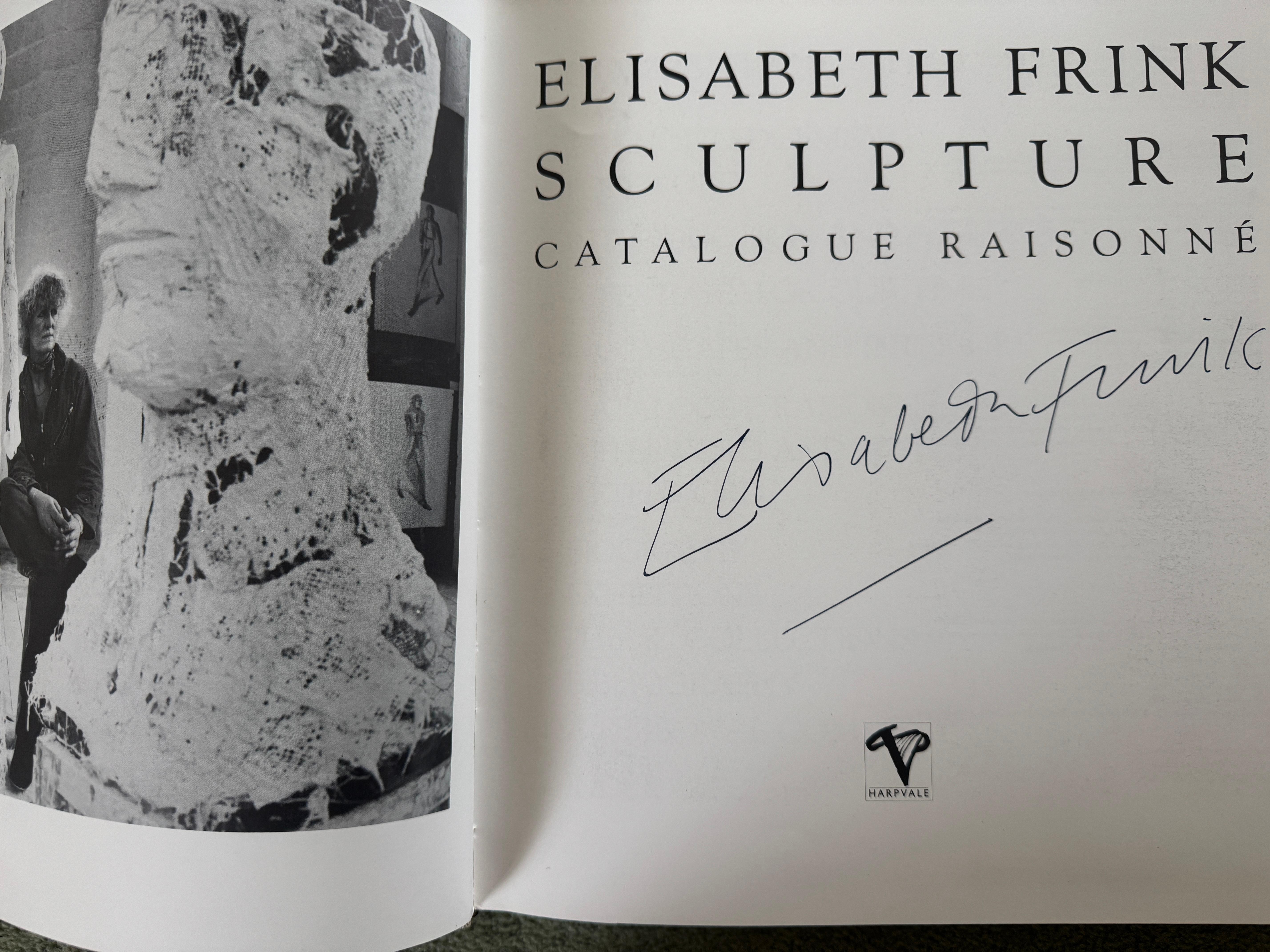 Cavallo sotto la pioggia V  Scultura in bronzo di Elisabeth Frink in vendita 1