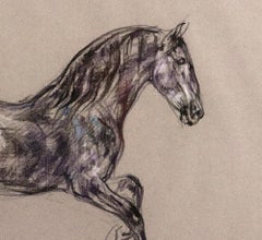 Horse Pastel by Leslie Charlotte Benenson, Stallion Dans Don Juan, Dated 1996