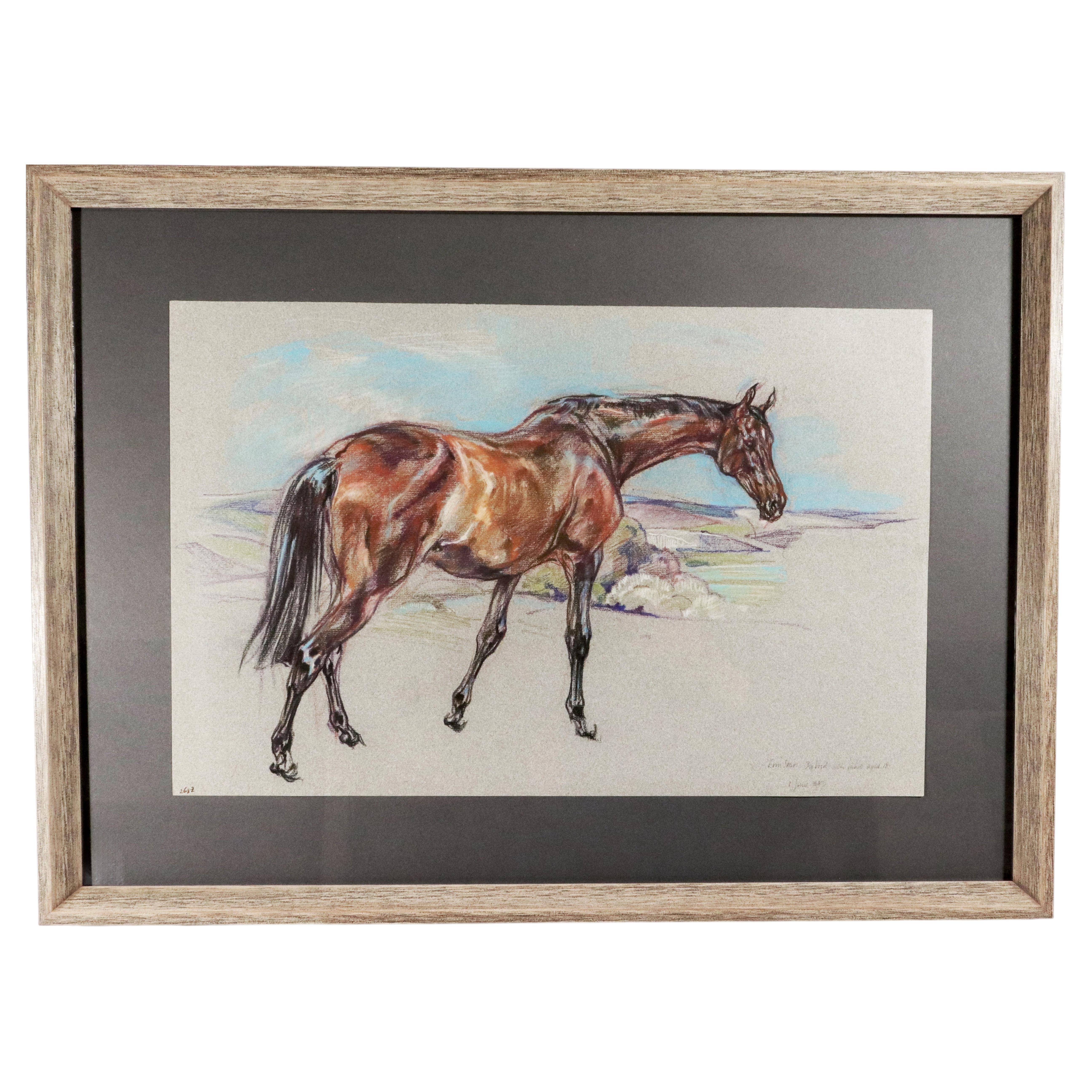 Peinture au pastel représentant un cheval, réalisée par Leslie Charlotte Benenson d'Erin Star en vente