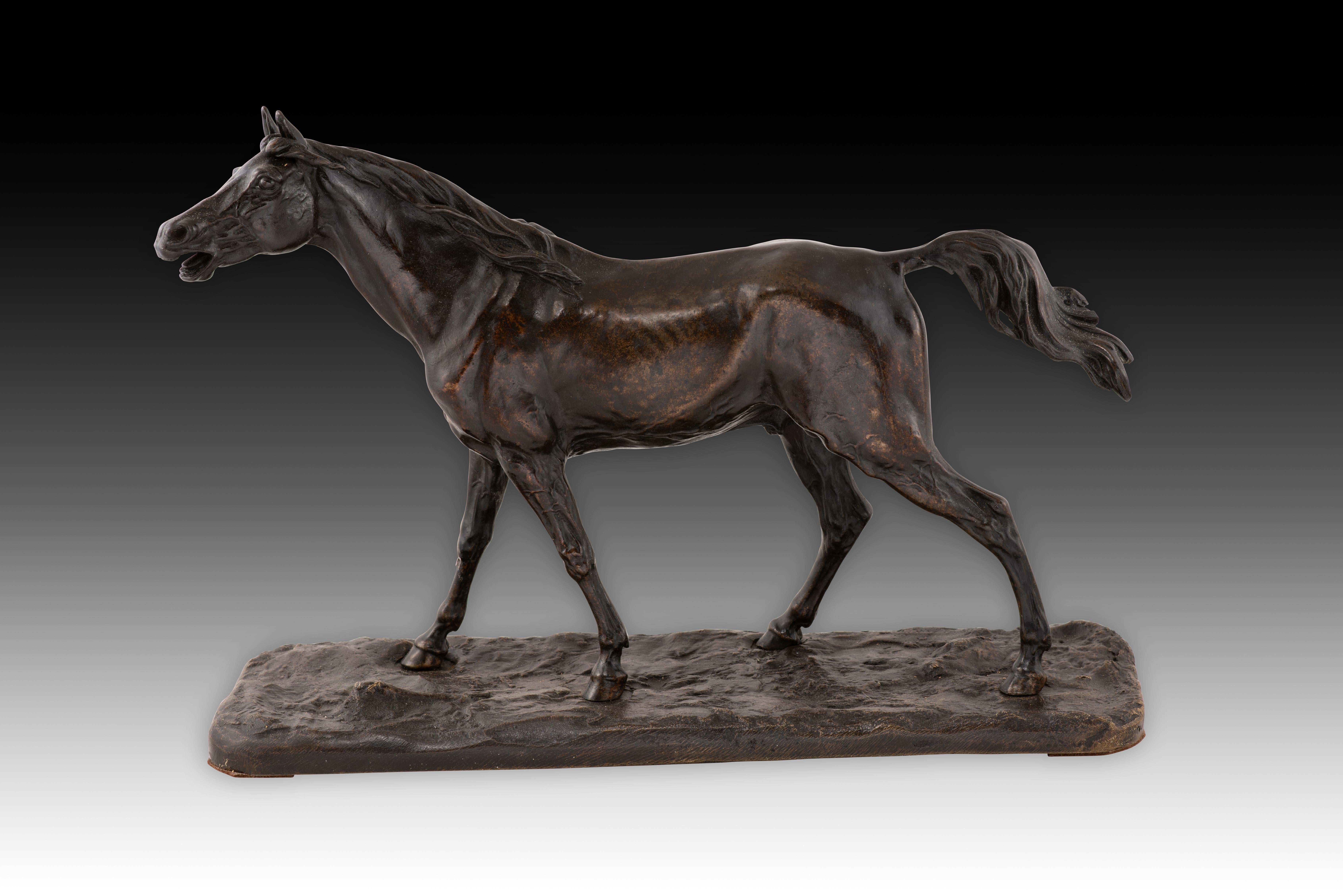  Cavallo. Metallo patinato. XIX secolo. 
Figura di un cavallo che cammina con una base in bronzo e un animale in ferro patinato. Mostra una forte influenza delle figure di animali comuni nella scuola francese del XIX secolo, come la cura nella