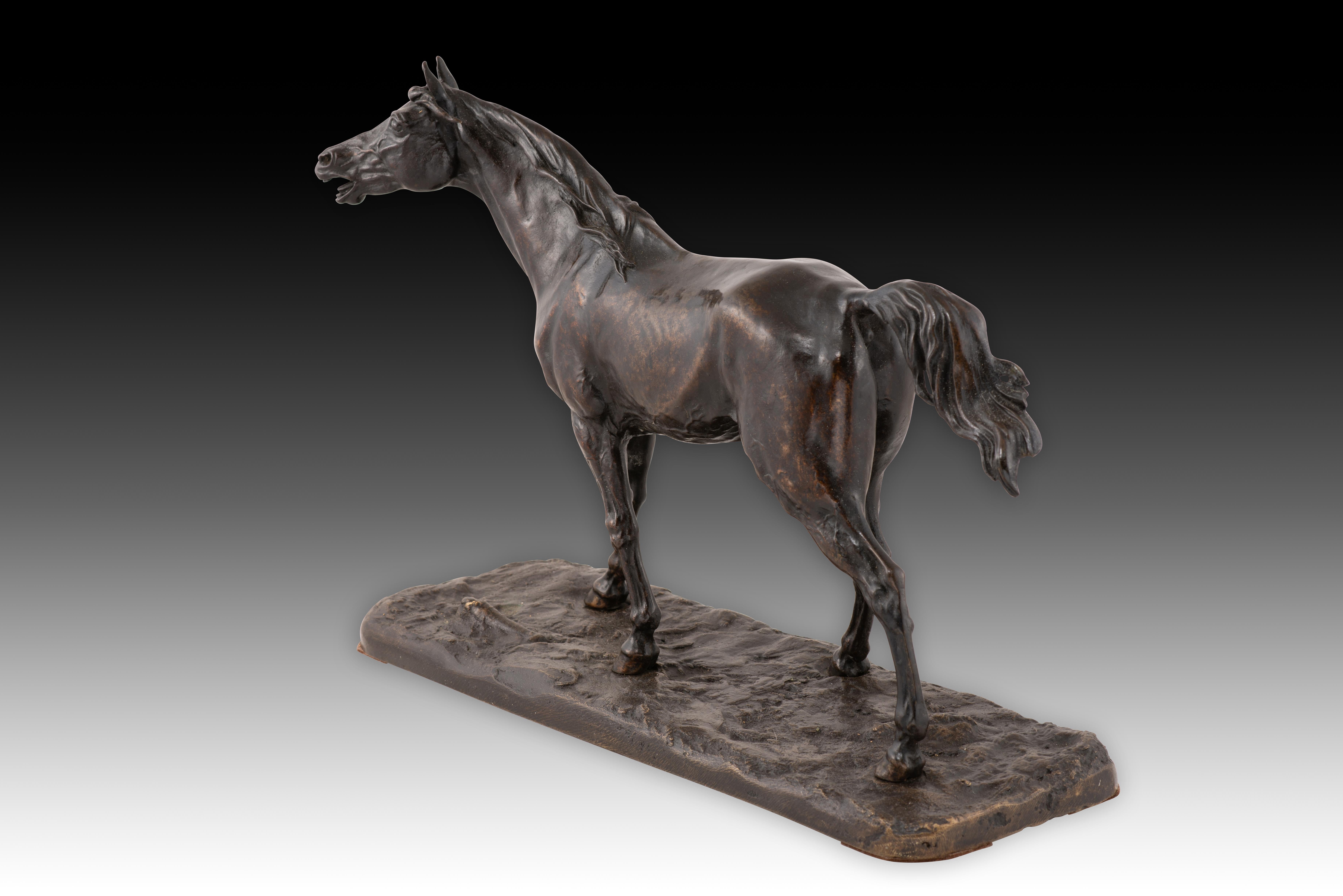 Neoclassico Cavallo. Metallo patinato. XIX secolo. in vendita