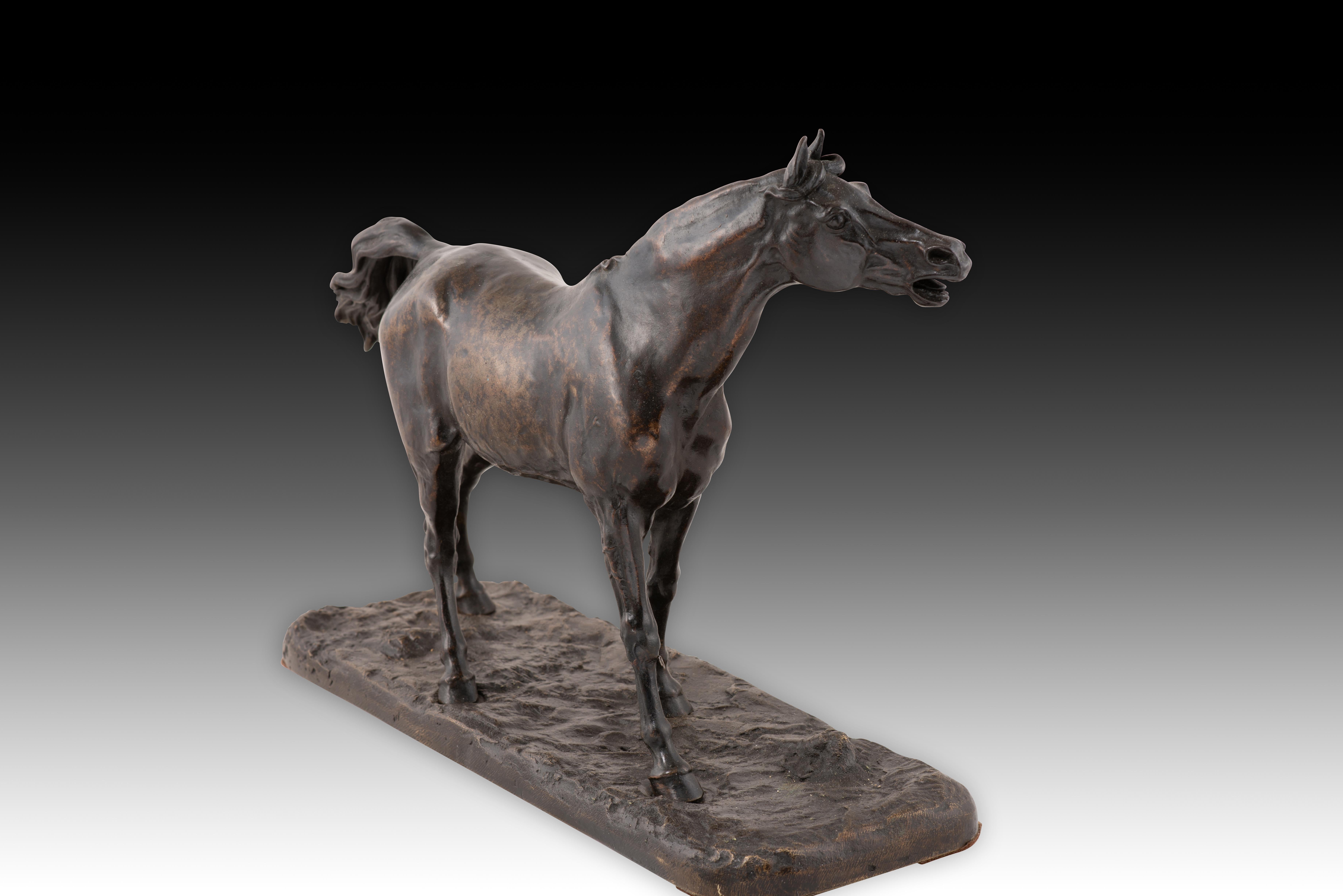 Cavallo. Metallo patinato. XIX secolo. In condizioni buone in vendita a Madrid, ES