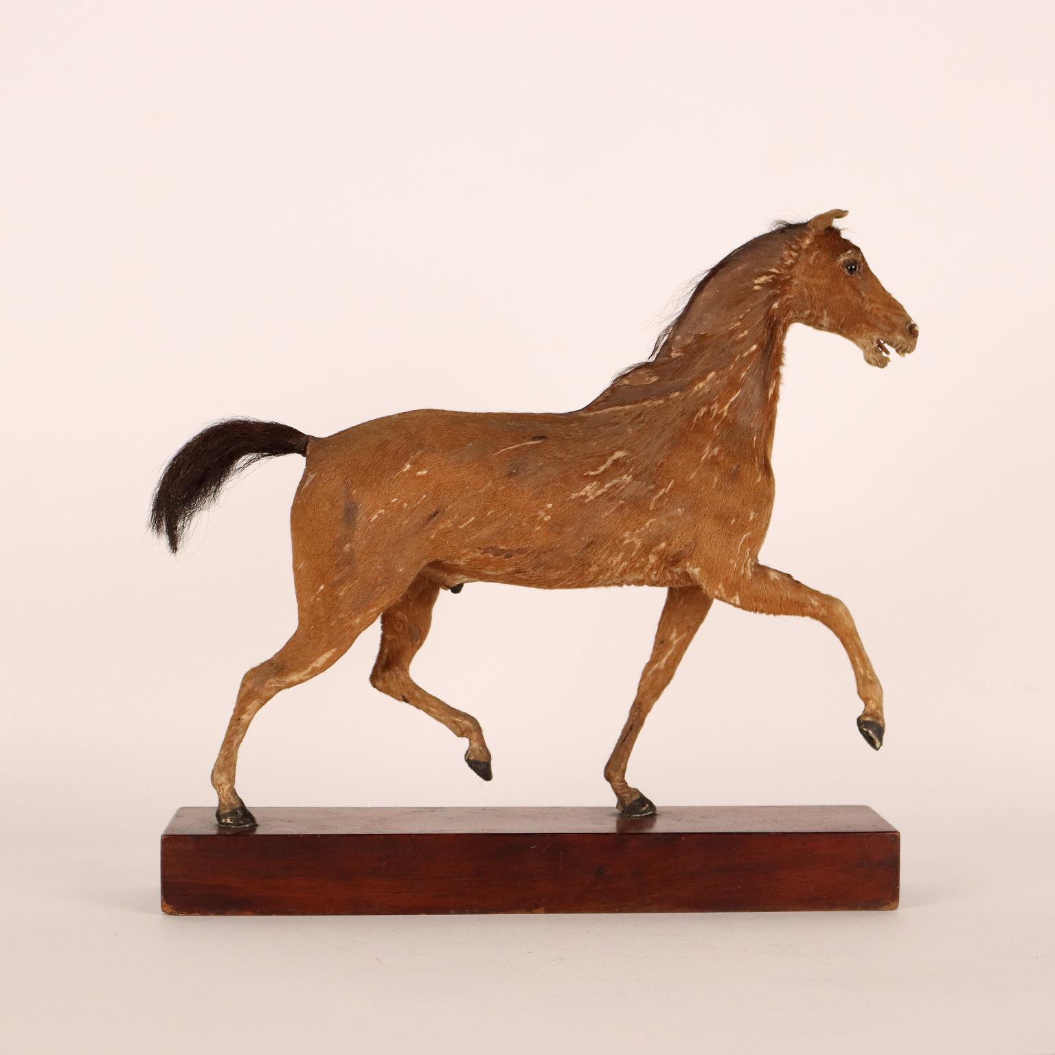 Other Horse Sculpture Henry Fratin, Paris, 1818 For Sale