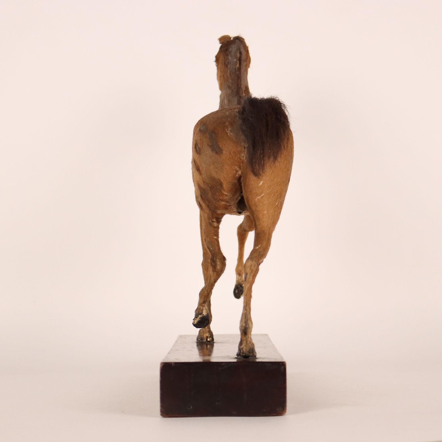 French Horse Sculpture Henry Fratin, Paris, 1818 For Sale