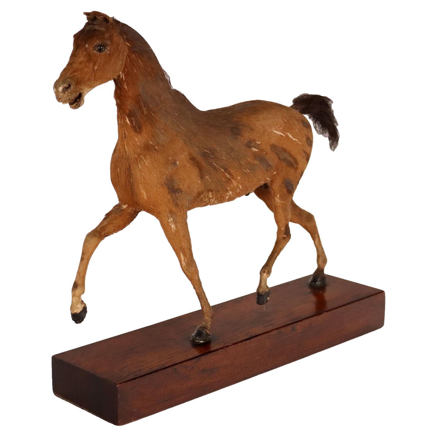Horse Sculpture Henry Fratin, Paris, 1818 For Sale