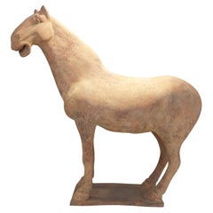Horse, Terracotta, China, Tang Period
