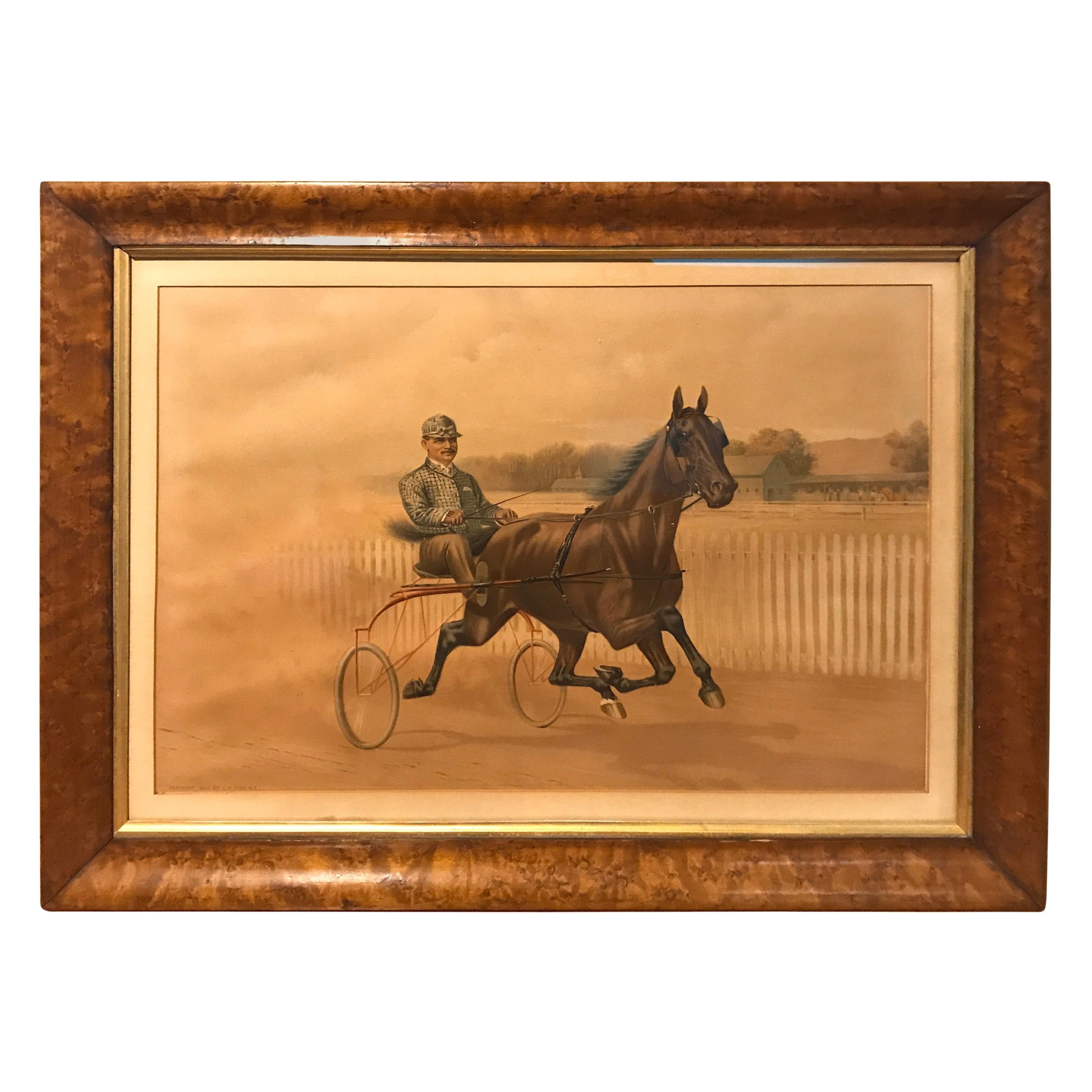 Horse Trotting Gentleman Chromolithograph circa 1897 New York, Gray Litho Co. For Sale
