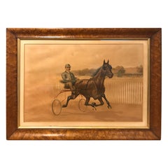 Horse Trotting Gentleman Chromolithograph circa 1897 New York, Gray Litho Co.