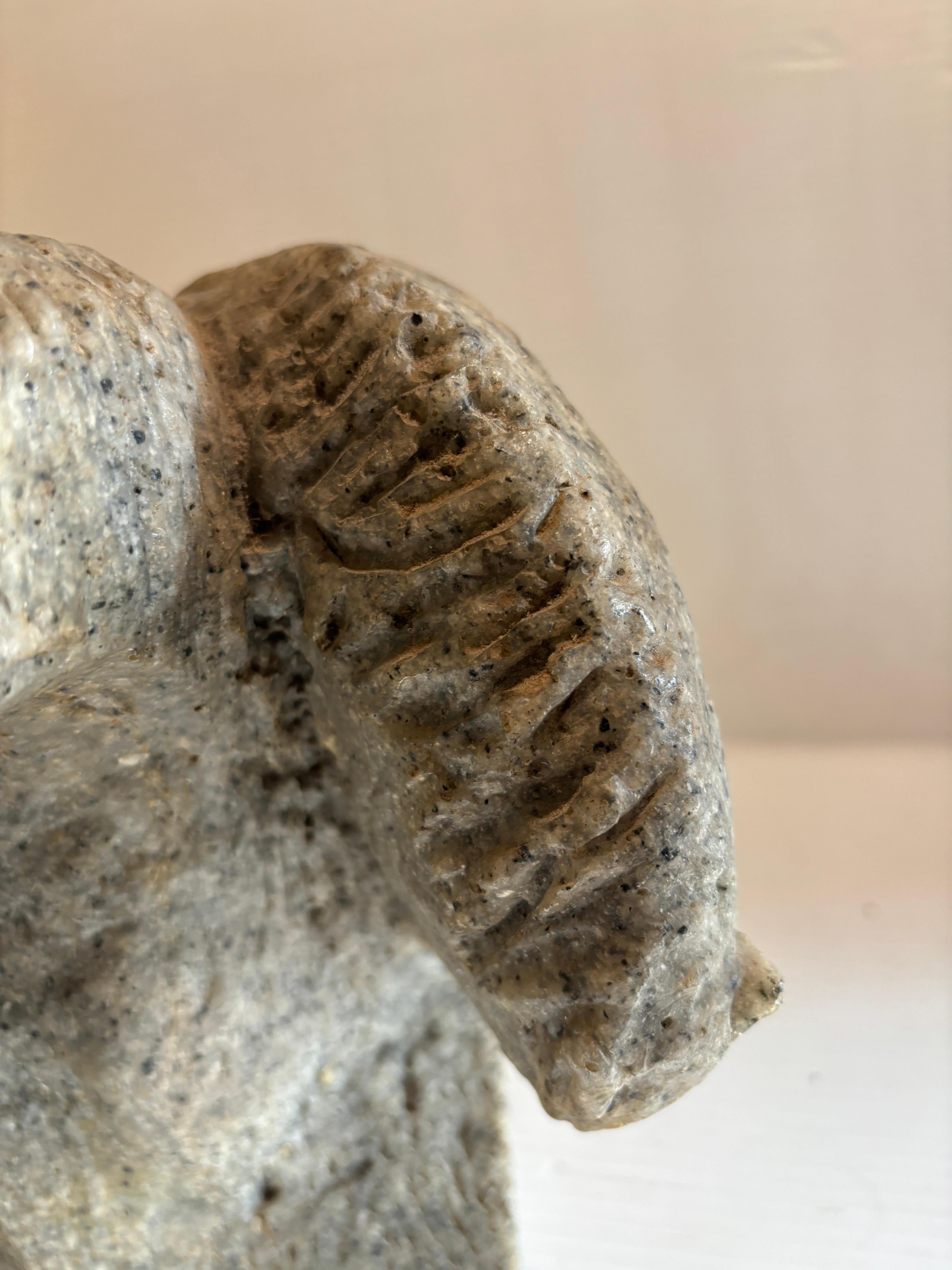 Horse with Two Heads Sculpture by Hoi Lebadang 2