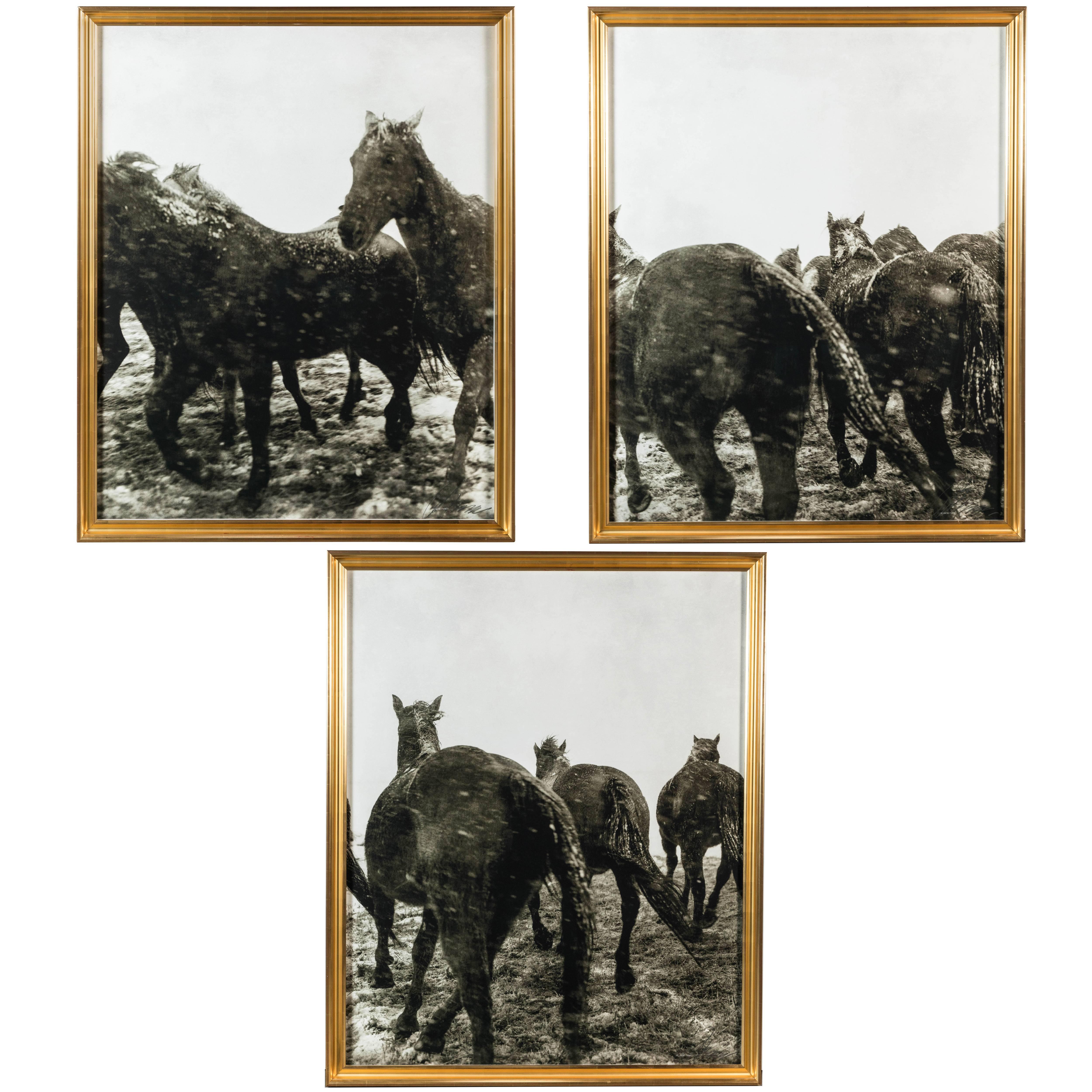 Horses in the Snow Triptych, 1999 by Richard Phibbs For Sale
