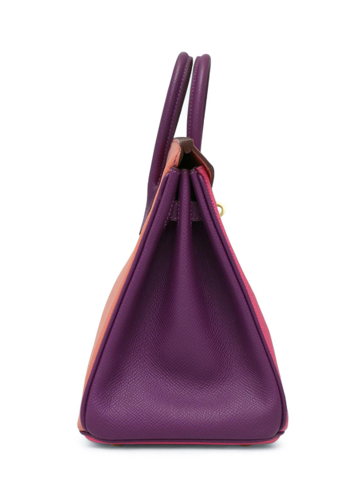 Fer à cheval Birkin 25 Tricolore rose et violet Unisexe en vente