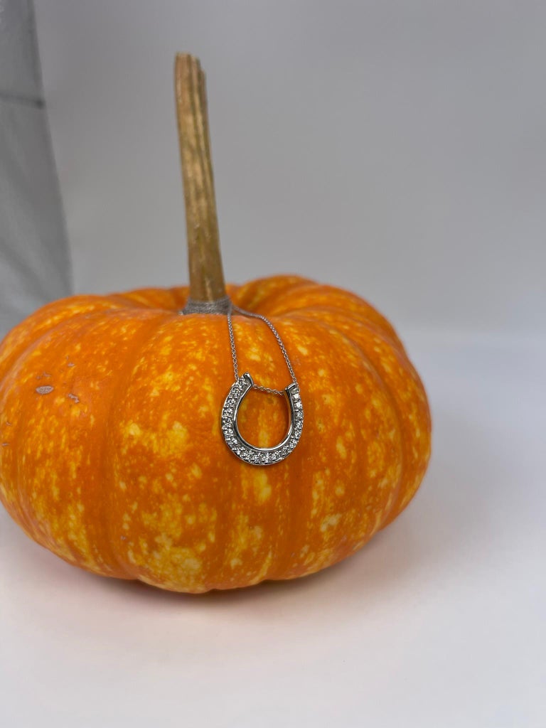 Horseshoe Diamond Pendant Necklace Good Luck Pendant Necklace Horse