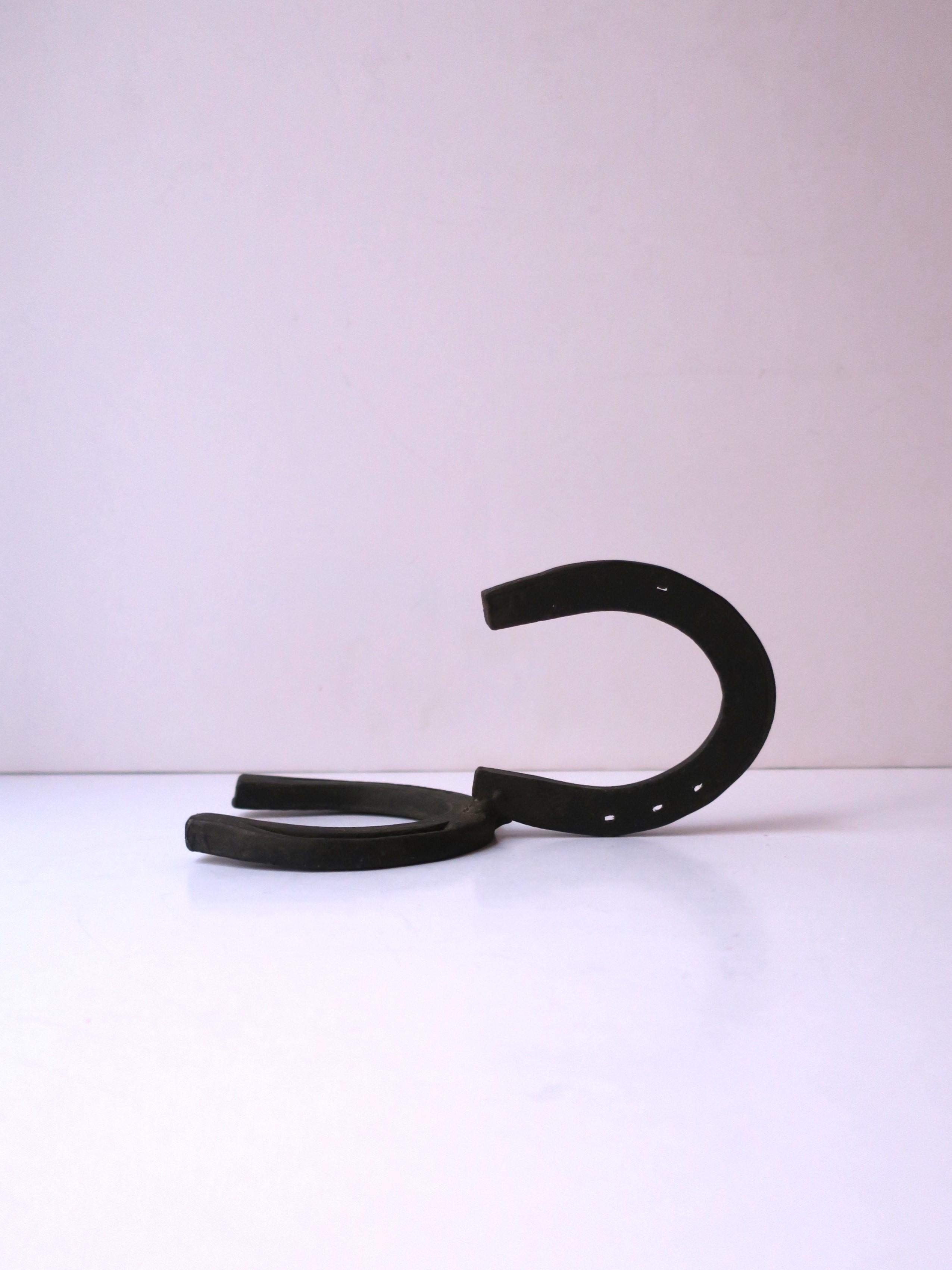 Horseshoe Wall Hook In Good Condition For Sale In New York, NY
