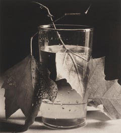 Army Leaves, Fort Belvoir, Virginia