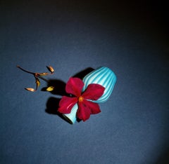 Dark Flower and Turquoise Vase