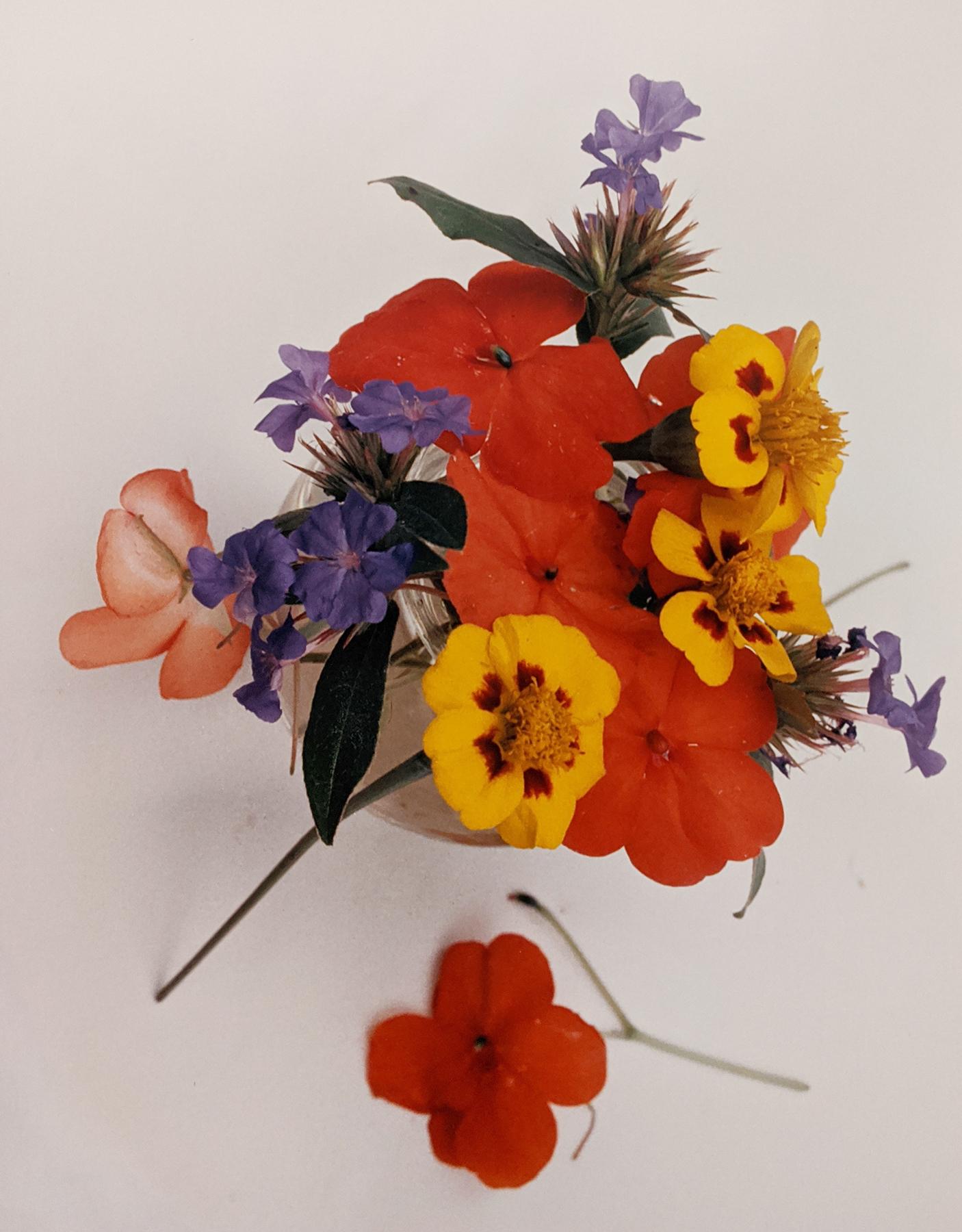 Horst P. Horst Color Photograph - Marigolds, Impatiens, and Violets, c. 1985