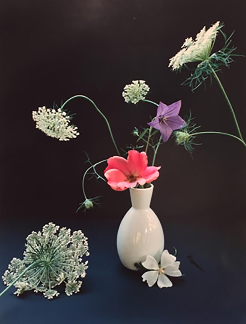 Horst P. Horst Color Photograph - Platycum, Betty Pryor Rose, and Queen Anne's Lace